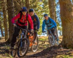 trailbike