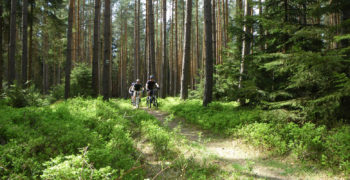 thueringen_mtb