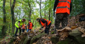 Trailbau