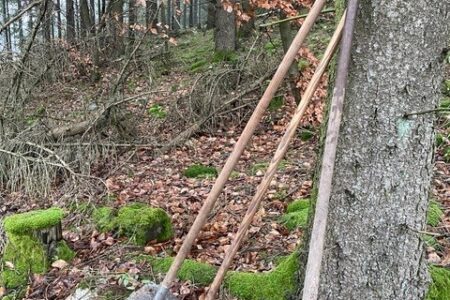 Celtic Trails