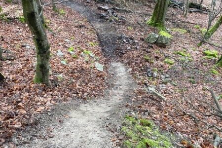 Celtic Trails