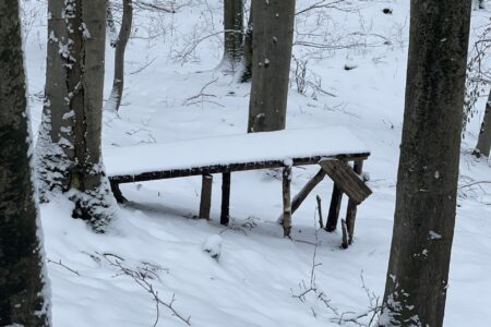 Bild-20240119-092035-3d3b64a5