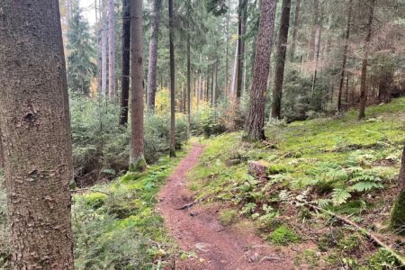 Bierstadt Trails Kulmbach_1