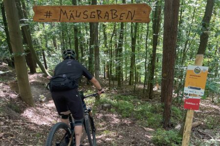 Bierstadt Trails Kulmbach_4