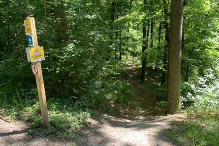 sb31_einstieg_abschnitt_3