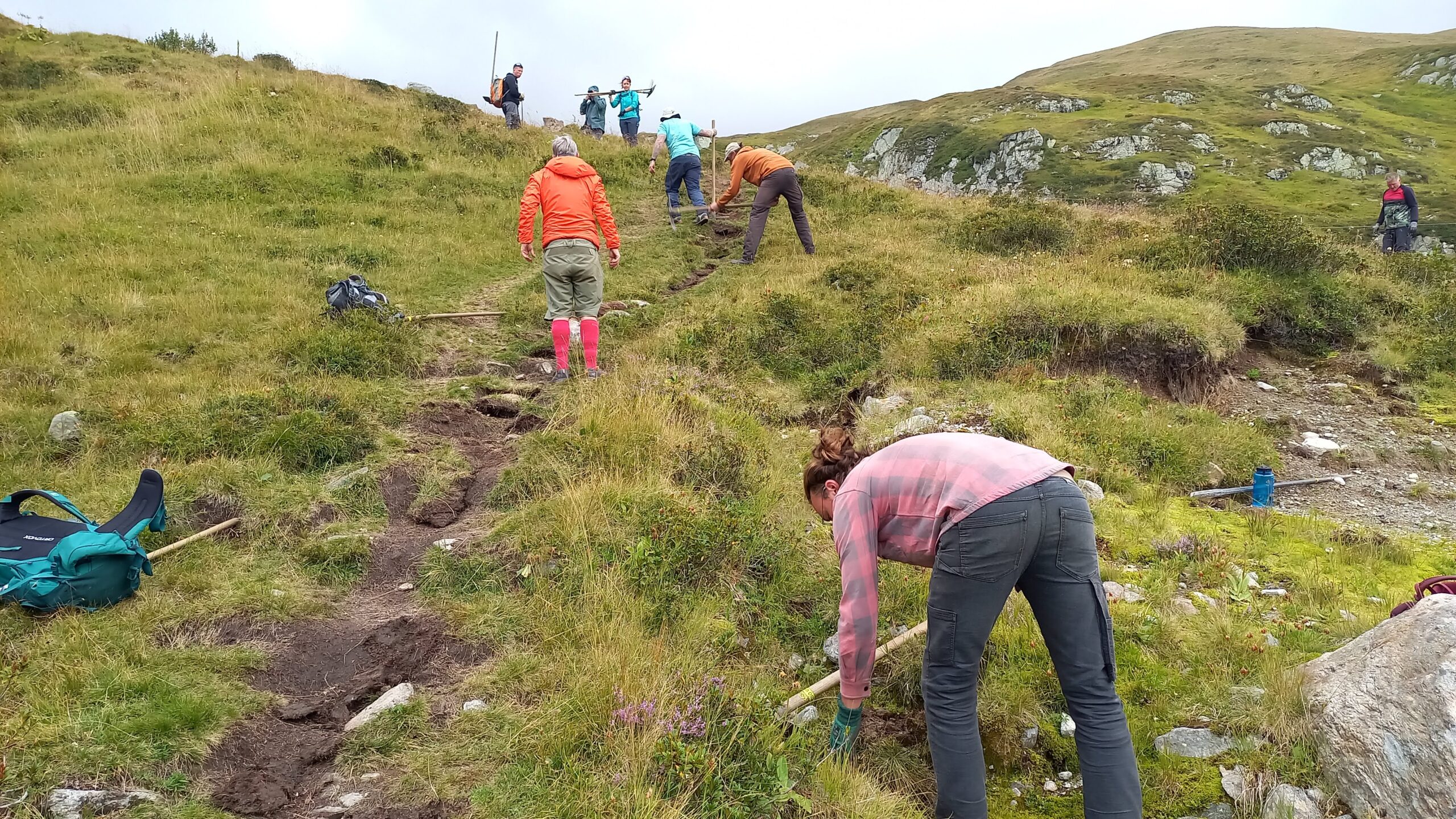 20250827_132940 Trailbau auf einem Wanderweg